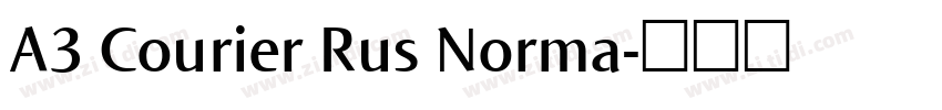 A3 Courier Rus Norma字体转换